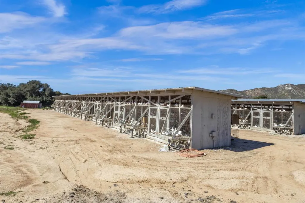 35683 Breezy Lane, Ranchita, CA, 92066
