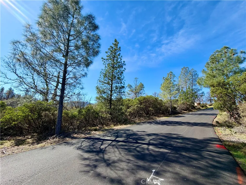 9921 Palmer, Cobb, CA 95426 - Photo 3 of 10, Cobb, CA