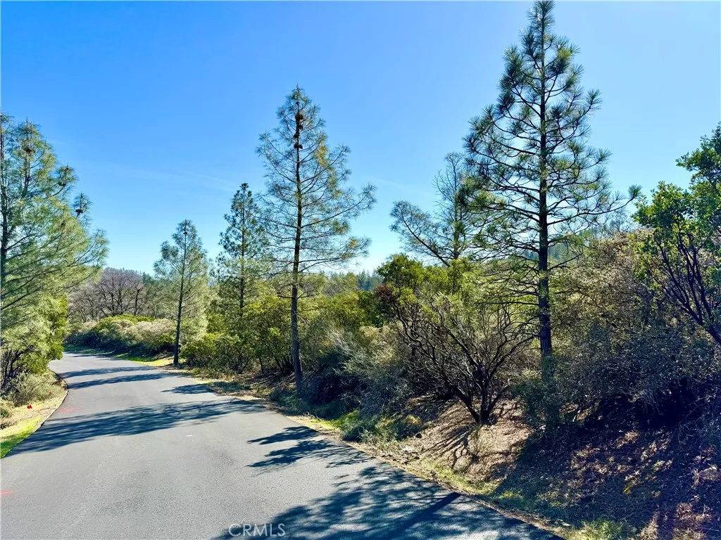 9921 Palmer, Cobb, CA 95426 - Photo 2 of 10, Cobb, CA