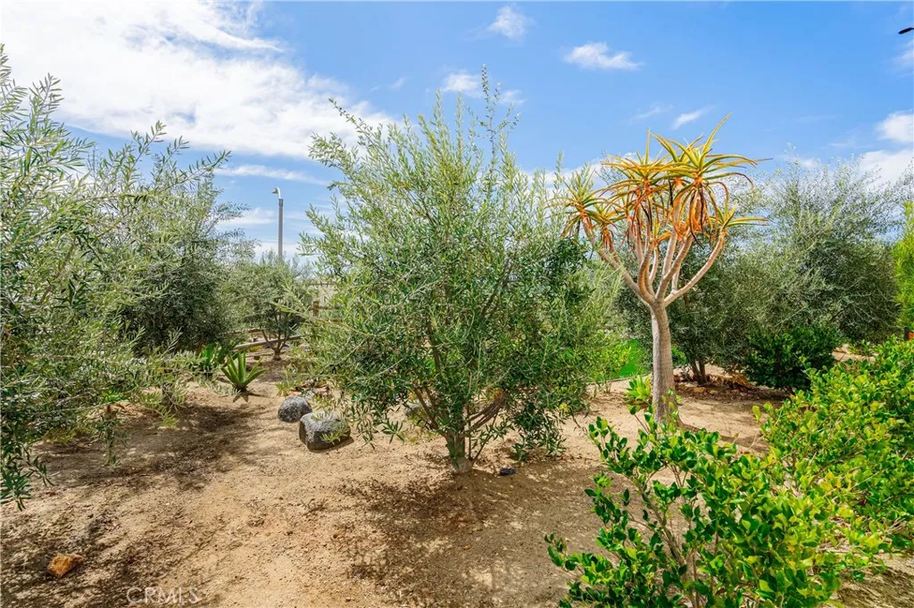 https://cdn.realtyfeed.com/cdn/127/306662004/37d80468d582a6f3346b612d621ec79d.webp