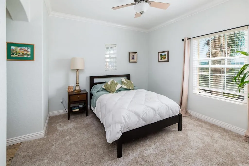 Photo #20: NDP2602240 Listing: Photo #20