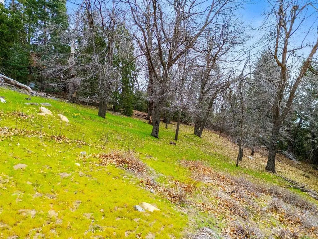 https://cdn.realtyfeed.com/cdn/127/306662105/2420d300e5c20f470146bae92fde3d81.webp