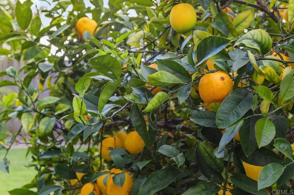 Photo #37: NDP2602272 Listing: Photo #37