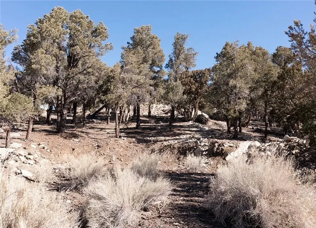 0 Lakeview, Big Bear City, CA 92314 - Photo 5 of 19, Big Bear City, CA