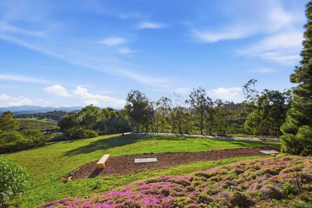 Photo #5: NDP2602275 Listing: Photo #5