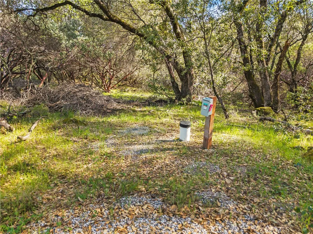 Placerville, CA 95667