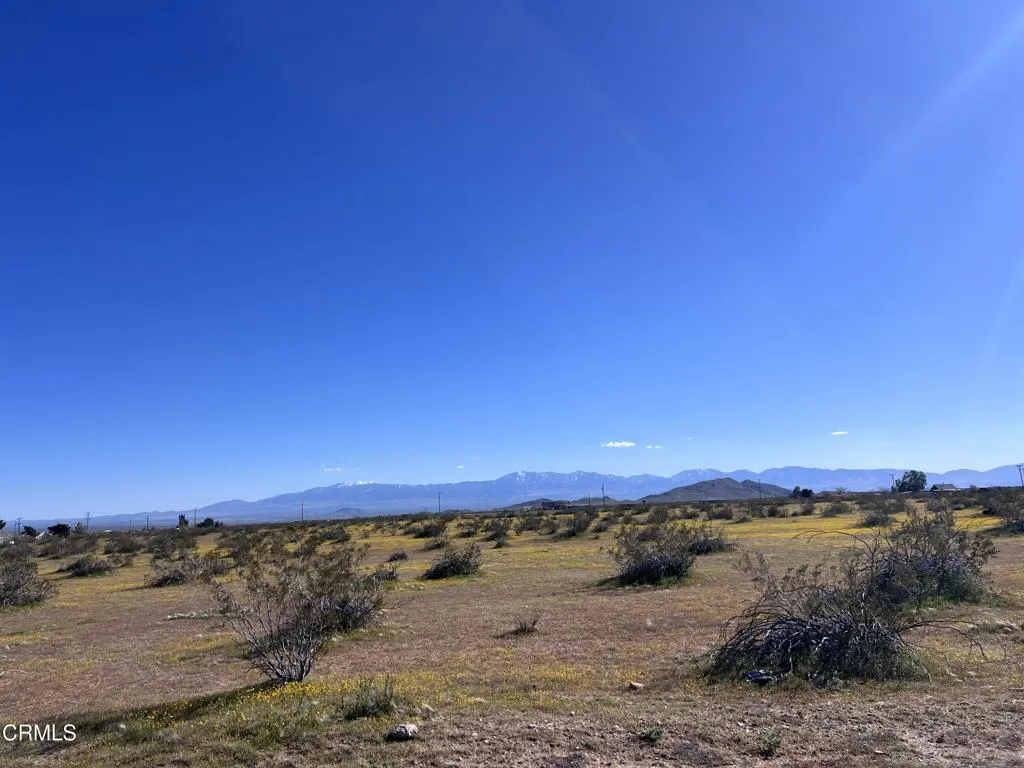 Hi Vista, CA 93535