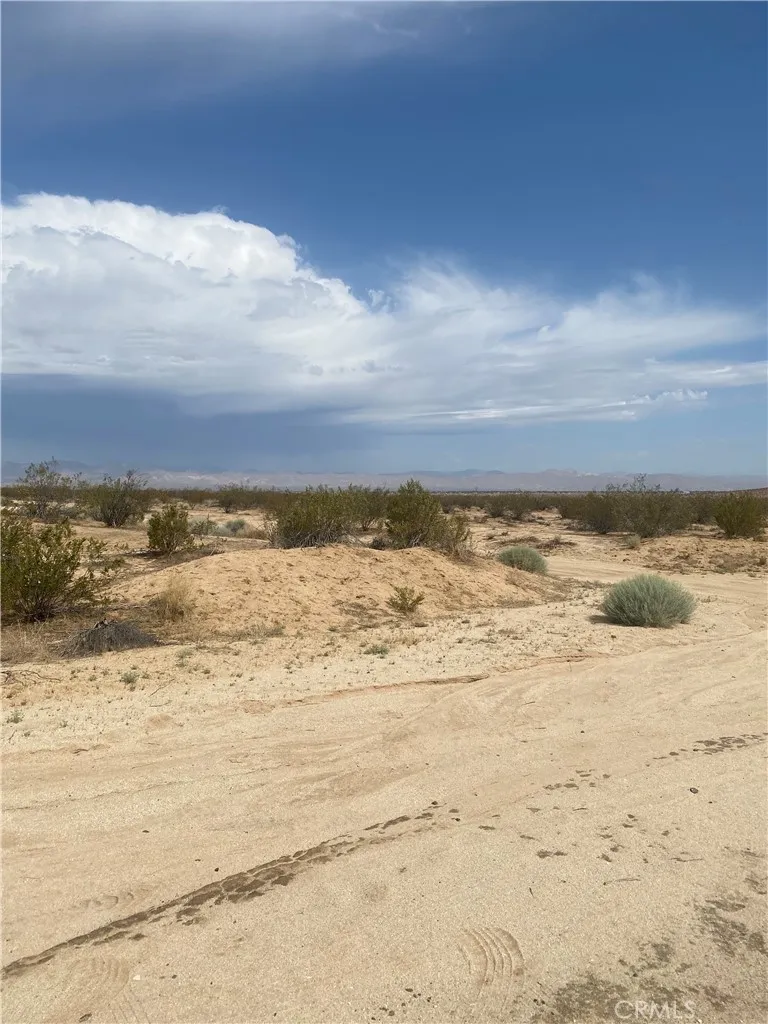 California City, CA 93505