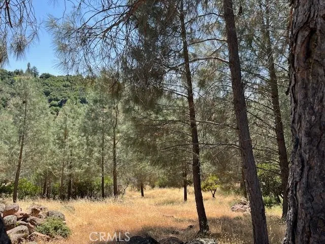 0 Vac/Vic Avenue V4/258 Ste, Llano, CA, 93591