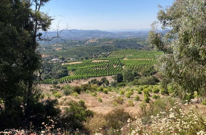Temecula