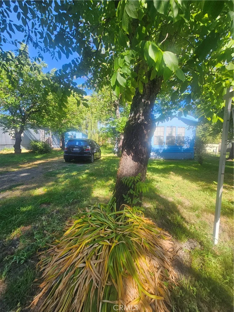 375 E Hwy 20 Unit 12, Upper Lake, CA 95485 - Photo 2 of 31, Upper Lake, CA