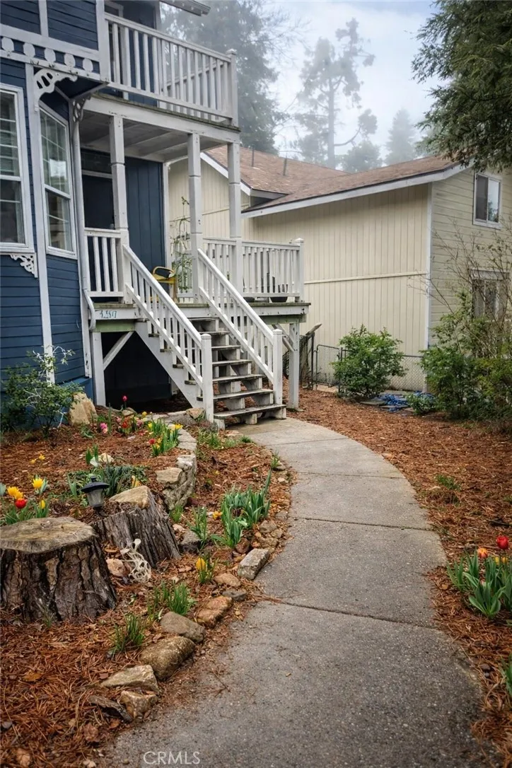 Angelus Oaks, CA 92305