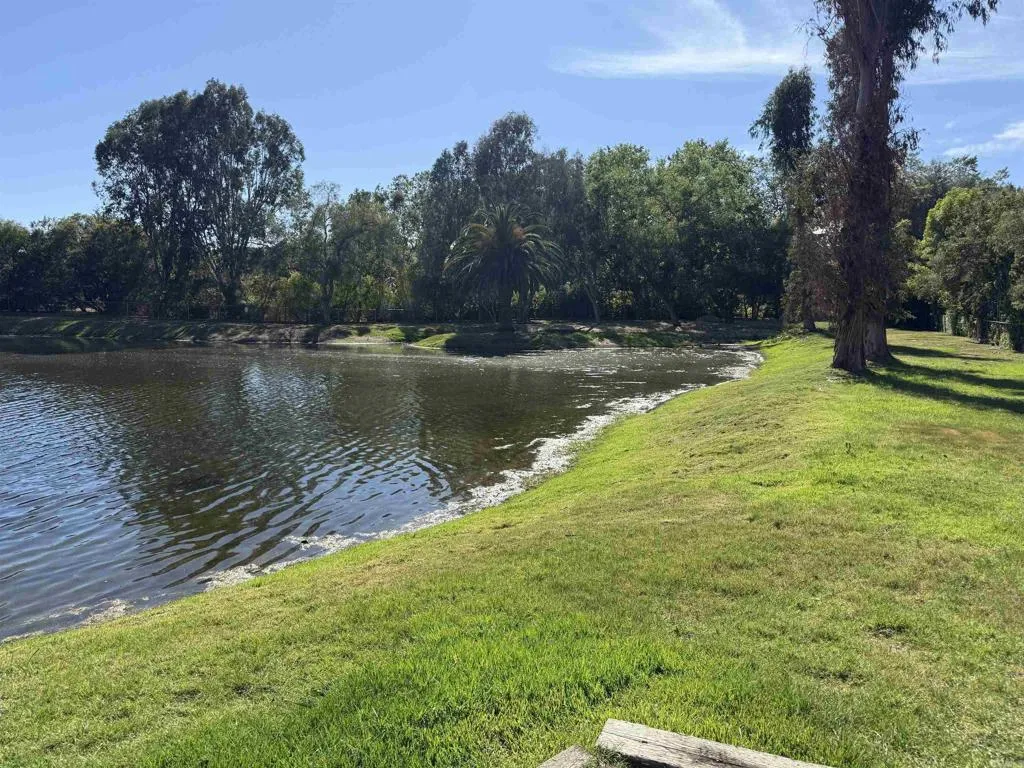 https://cdn.realtyfeed.com/cdn/127/306667591/68e94fef9778f48ef7a6af9e3c6fac46.webp
