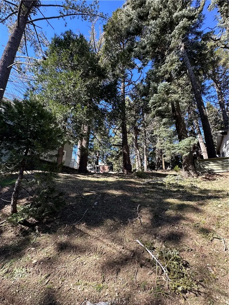 Lake Arrowhead, CA 92352