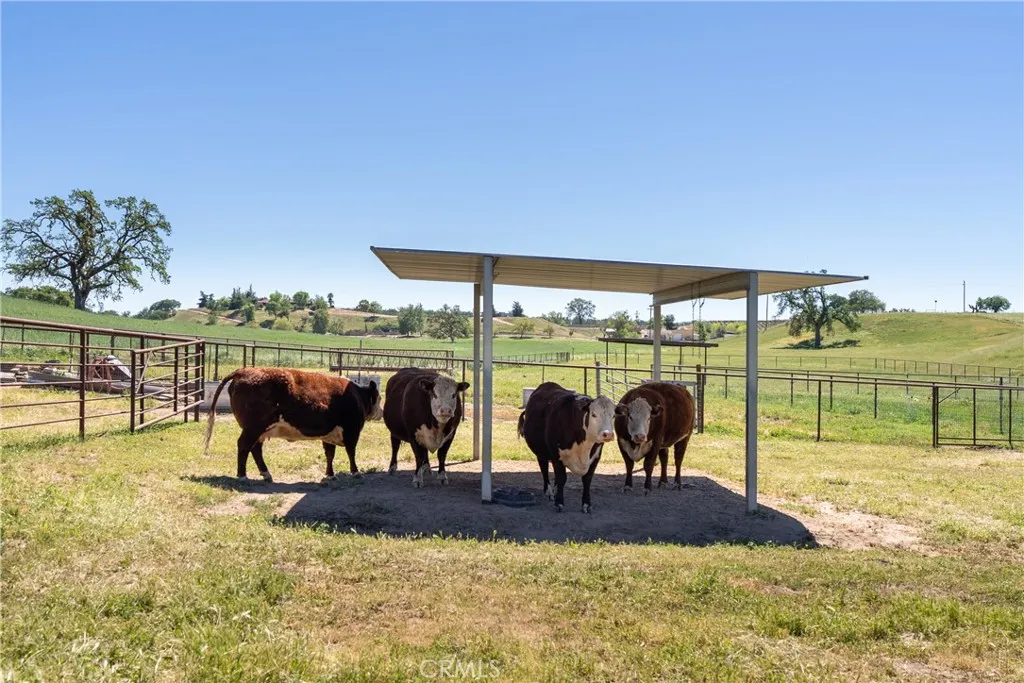 5385 Camp 8, Paso Robles, CA, 93446