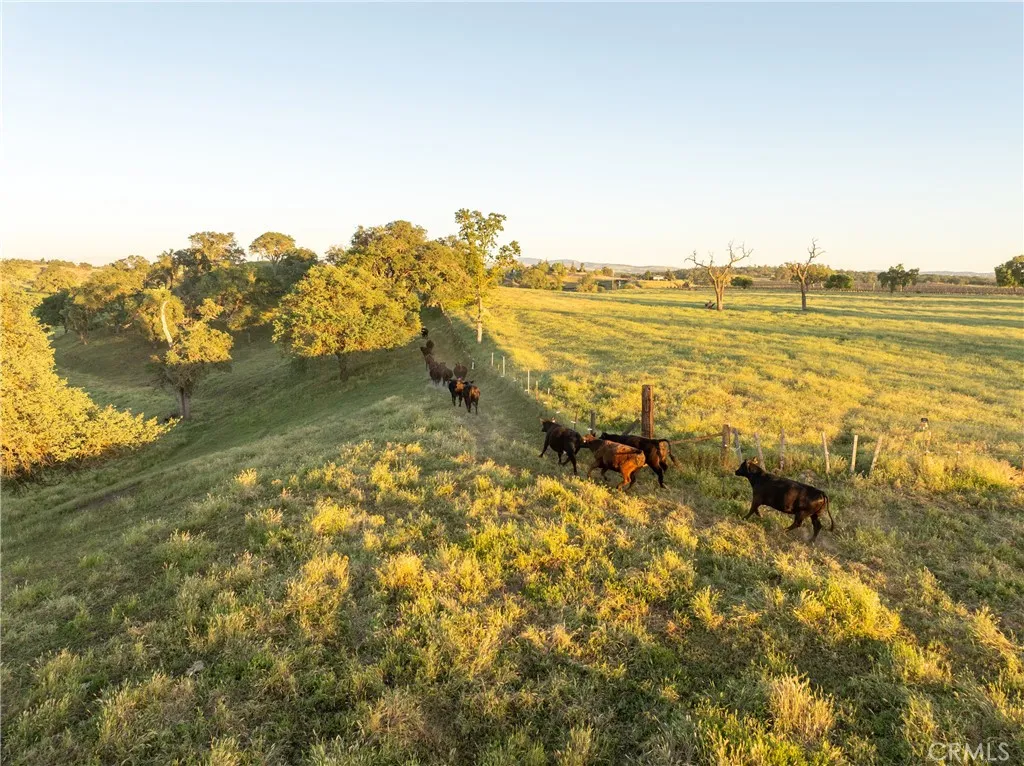 5385 Camp 8, Paso Robles, CA, 93446