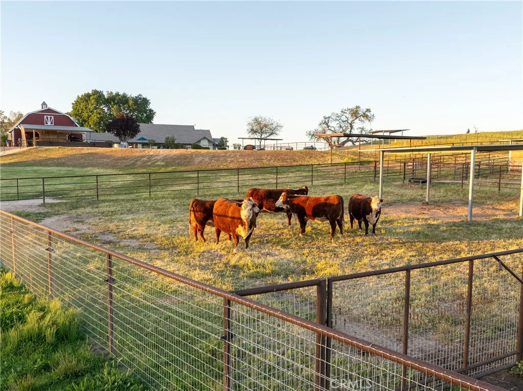 5385 Camp 8, Paso Robles, CA, 93446