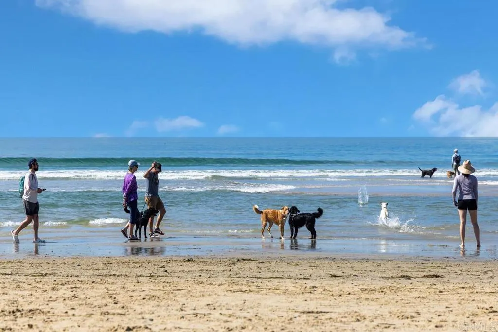 Photo #20: NDP2602562 Listing: Photo #20