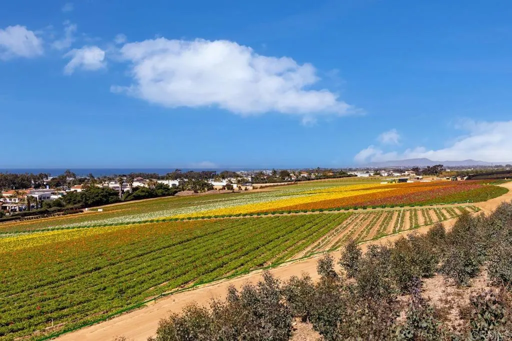 Photo #4: NDP2602562 Listing: Photo #4