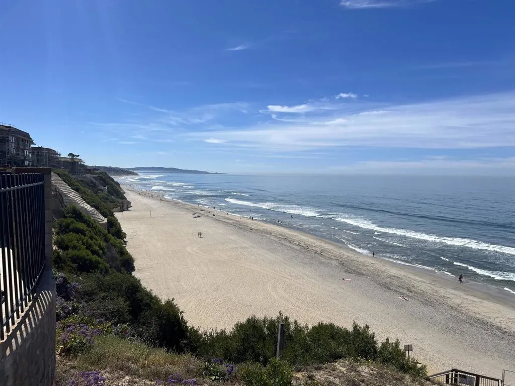 Photo #36: NDP2602655 Listing: Photo #36