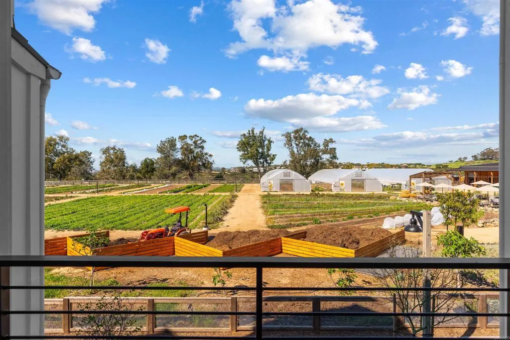 Photo #23: NDP2602672 Listing: Photo #23