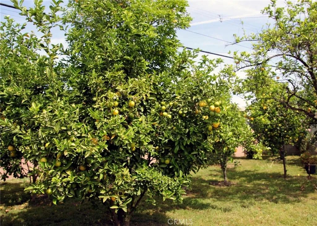 11623 Brimley, Norwalk, CA, 90650