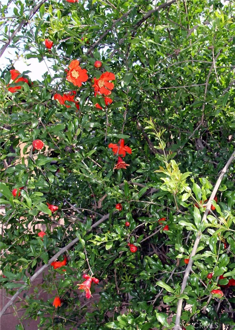 11623 Brimley, Norwalk, CA, 90650