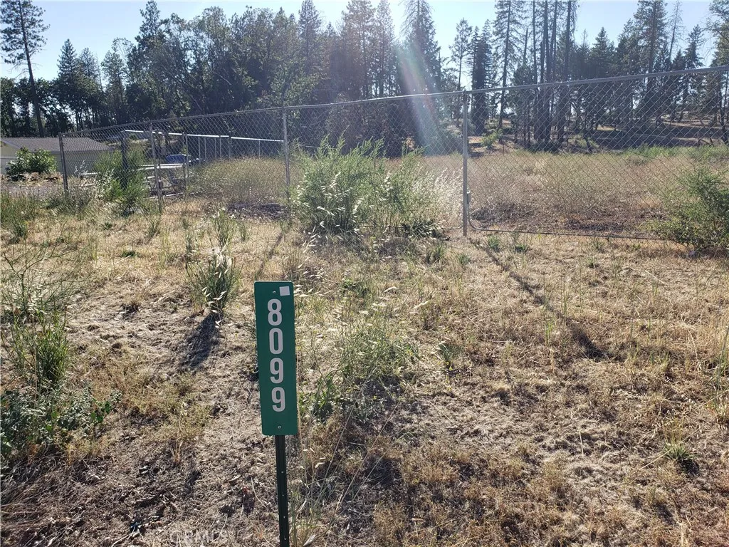 Paradise, CA 95969