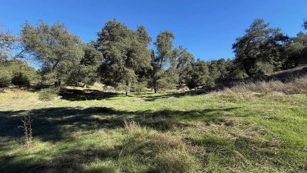 https://cdn.realtyfeed.com/cdn/127/306674632/77961b33a3ffdc582848ee3ea117d56f.webp