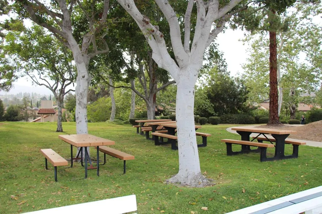 Photo #44: NDP2602914 Listing: Photo #44