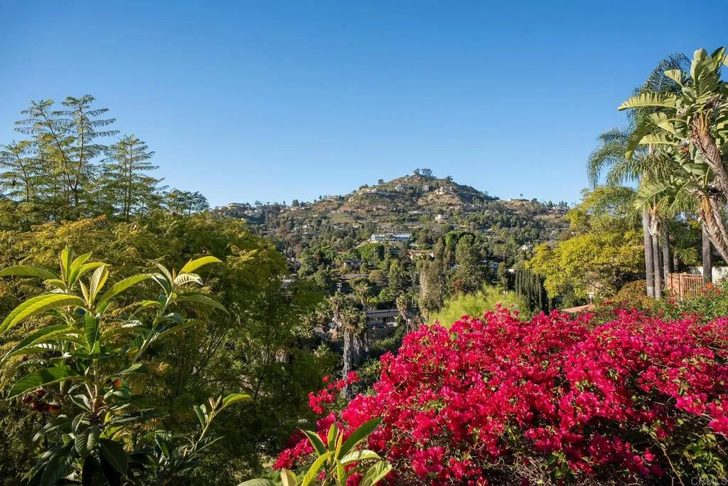 9802 LYNCAROL DR, La Mesa, CA, 91941