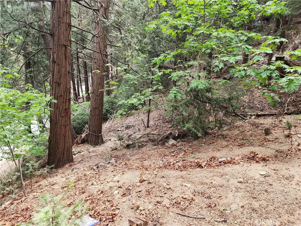 1023 Mercury, Crestline, CA, 92325