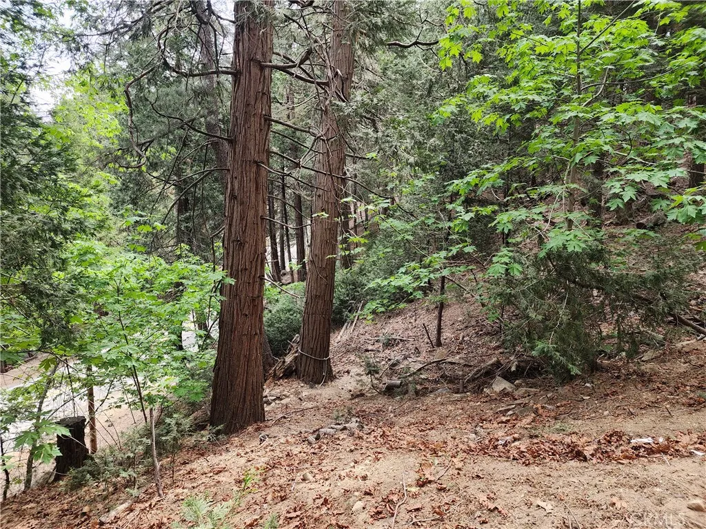 1023 Mercury, Crestline, CA, 92325