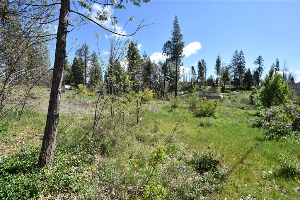 6 Sugar Pine, Berry Creek, CA 95916 - Photo 4 of 17, Berry Creek, CA