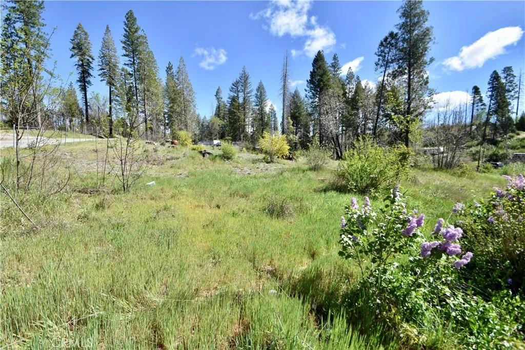 6 Sugar Pine, Berry Creek, CA 95916 - Photo 2 of 17, Berry Creek, CA