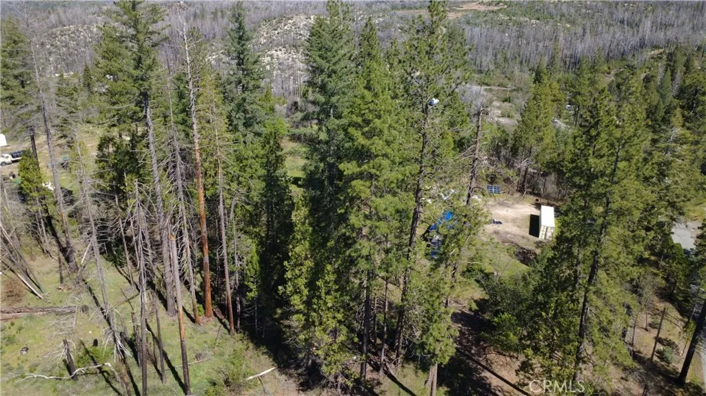 6 Sugar Pine, Berry Creek, CA 95916 - Photo 3 of 17, Berry Creek, CA