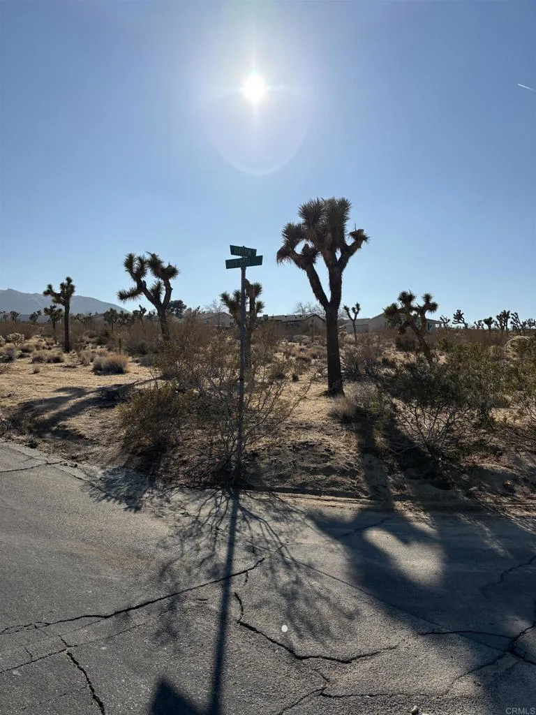 Joshua Tree, CA 92252