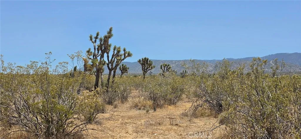 0 187th / Avenue W10, Llano, CA 93591 - Photo 3 of 4, Llano, CA