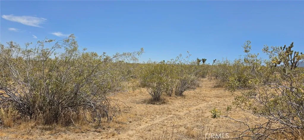 0 187th / Avenue W10, Llano, CA 93591 - Photo 2 of 4, Llano, CA