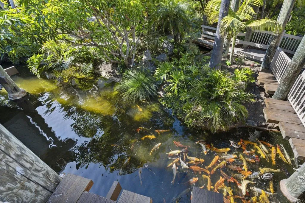 Photo #21: NDP2603256 Listing: Photo #21