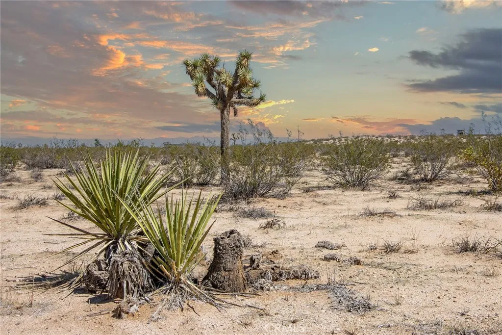 0 Sunny Sands, Joshua Tree, CA 92252 - Photo 5 of 19, Joshua Tree, CA