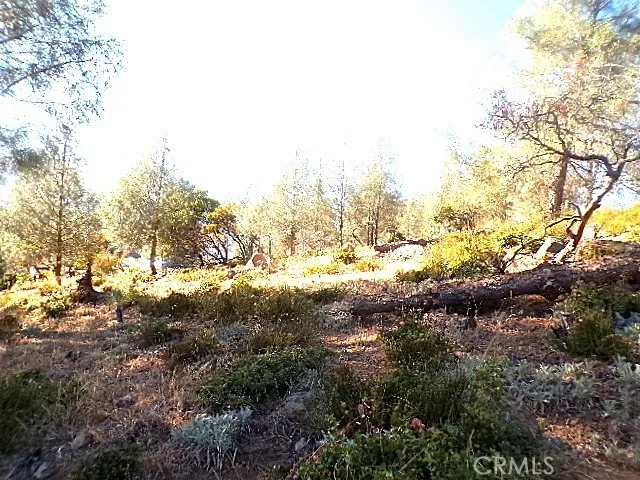 Frying Pan Rd Lot 14, Borrego Springs, CA, 92004