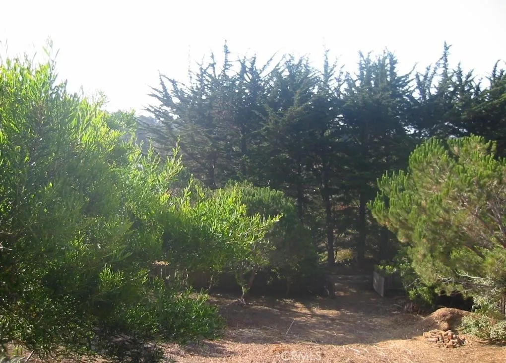 195 Spindrift, Carmel Highlands, CA, 93923