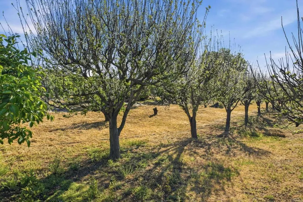 https://cdn.realtyfeed.com/cdn/127/306687371/1345af1a9a8bf3d57a8f006451dfa8e4.webp
