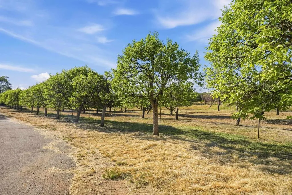https://cdn.realtyfeed.com/cdn/127/306687371/17dd1c846a62e88ae7f173603dda6d7e.webp