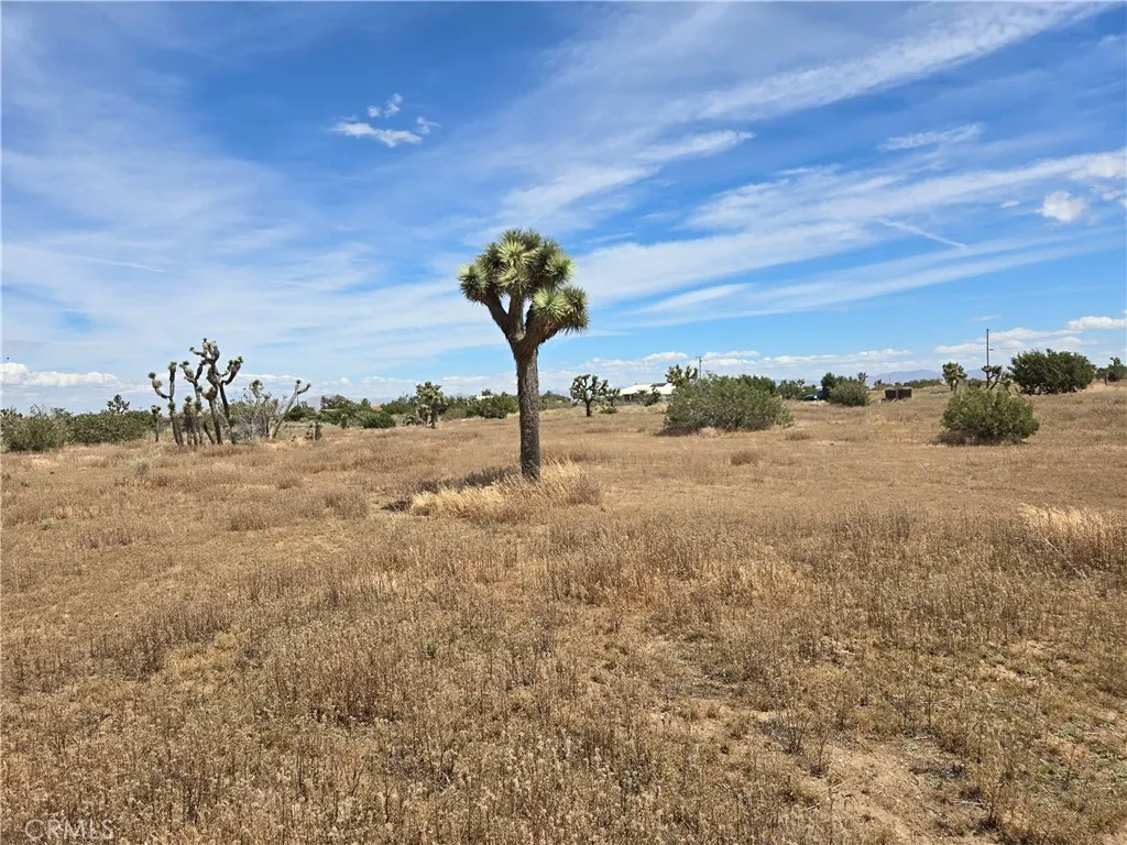 Oak Hills, CA 92344
