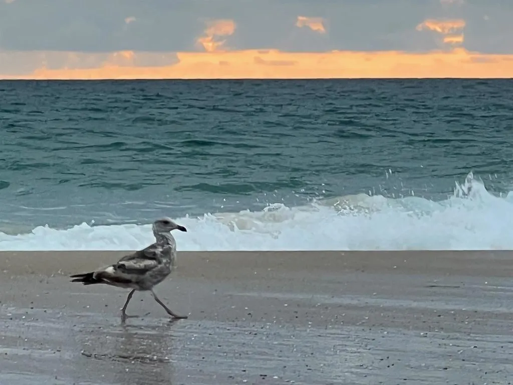 724 Dover Court, San Diego, CA, 92109