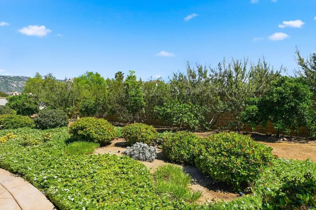 Photo #51: NDP2603585 Listing: Photo #51