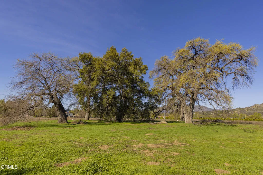 1201 Grand, Ojai, CA, 93023
