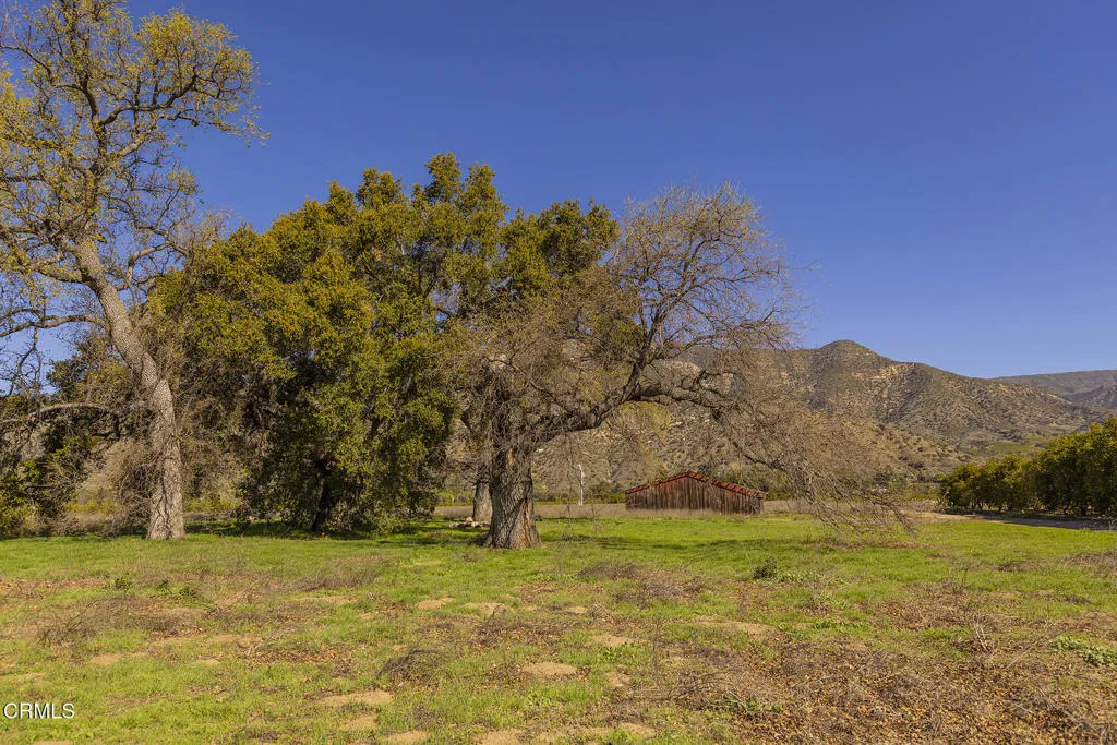 1201 Grand, Ojai, CA, 93023